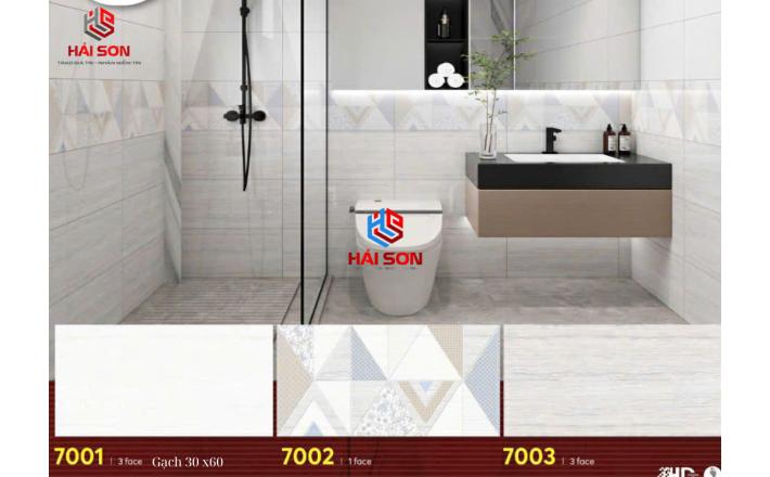 Gạch Phối Cảnh 30 x 60 ( 015)
