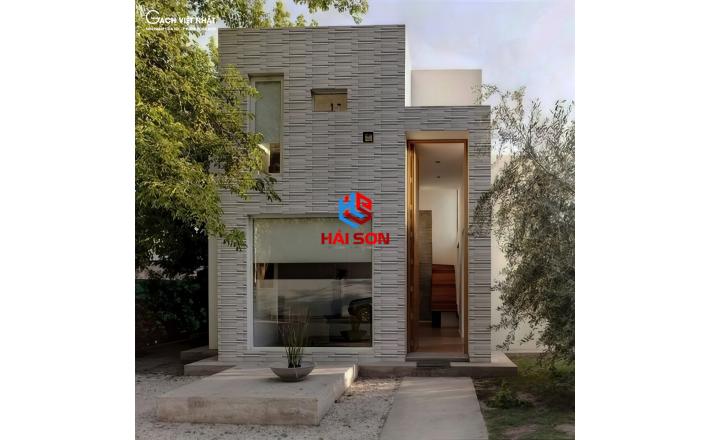 VN443_Gạch Trang Trí Men Mờ 25 x 50