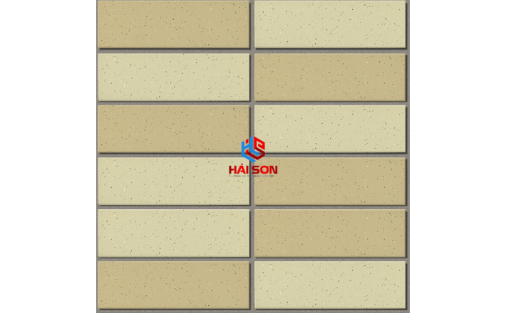 INAX-355/EAC_300 x 300 Gạch ốp tường kiến trúc Nhật 355/EAC-EARTH COLOR BORDER