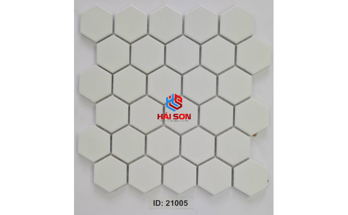 VTP-ID - 21005 (Mờ)_306mm x 306mm Mẫu Gạch Gốm Trơn Trắng Mờ
