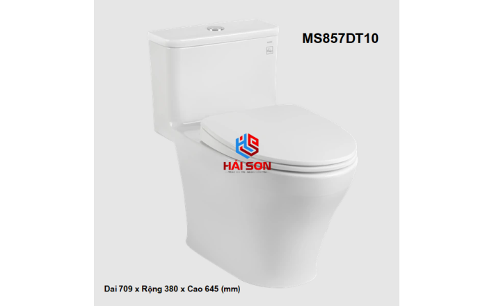 TOTO Bồn cầu một khối có nắp và bệ ngồi đóng êm TC395VS MS857DT10