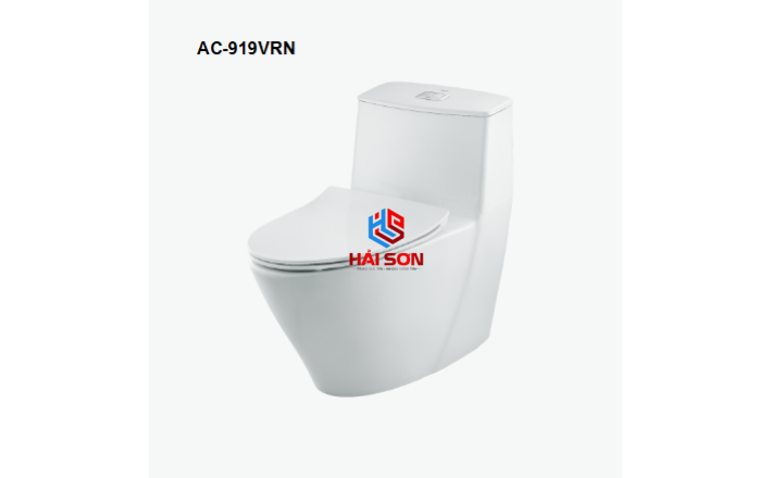 INAX Bồn cầu 1 khối AC-919VRN