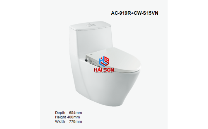 INAX Bồn cầu 1 khối kết hợp nắp rửa cơ AC-919R+CW-S15VN