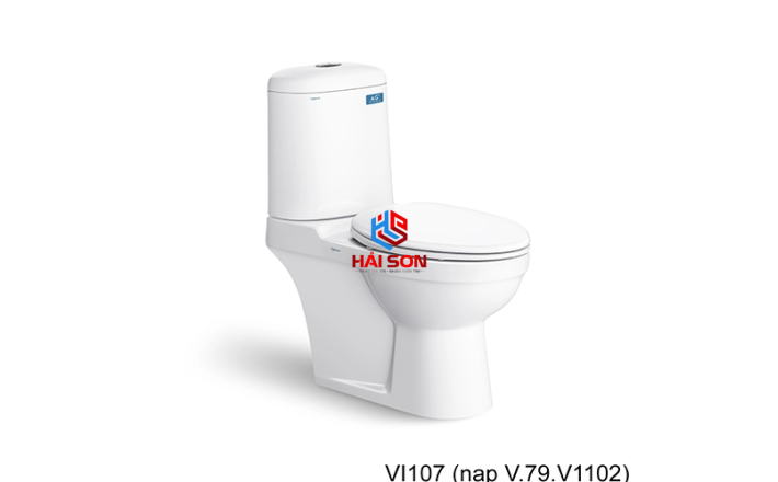 VIGLACERA Bàn cầu hai khối VI107