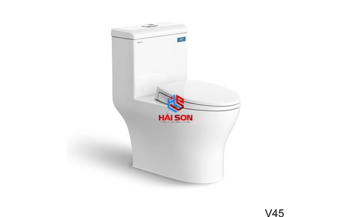  VIGLACERA Bàn cầu một khối V45M + Vòi xịt VG826