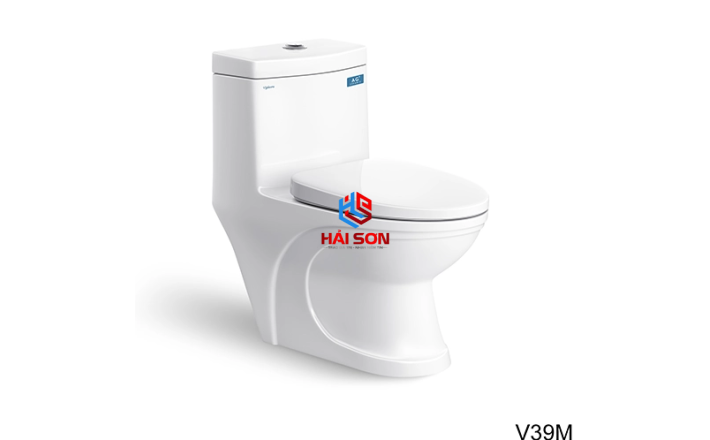 VIGLACERA Bàn cầu một khối V39M + Vòi xịt VG826