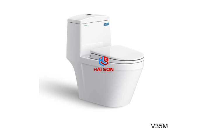 VIGLACERA Bàn cầu một khối V35M + Vòi xịt VG826