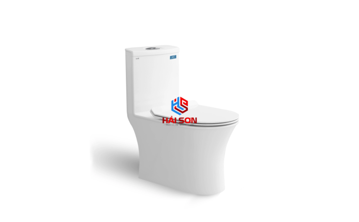 VIGLACERA  Bàn cầu một khối Sanfi S302