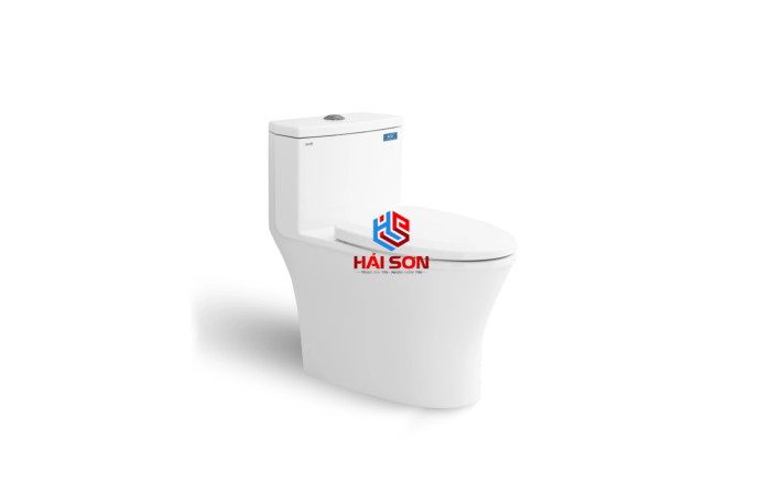 VIGLACERA Bàn cầu một khối Sanfi S303