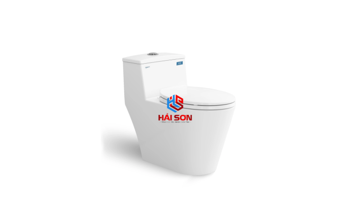VIGLACERA Bàn cầu một khối V823 + Xịt VG826