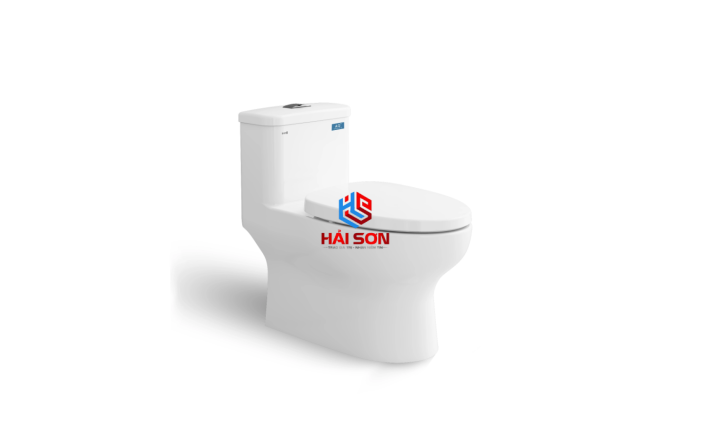 VIGLACERA Bàn cầu một khối Viglacera Sanfi S309