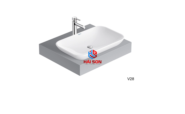 VIGLA Chậu bán dương bàn V28