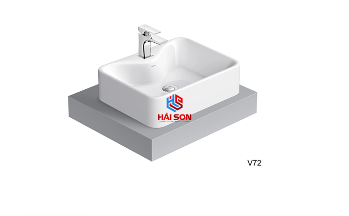 VIGLA Chậu bán dương bàn V72