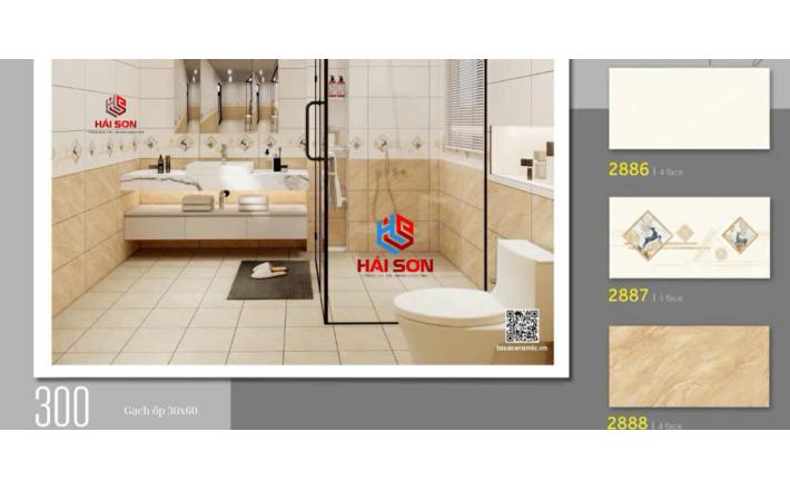 Gạch Phối Cảnh 30 x 60 ( 006)