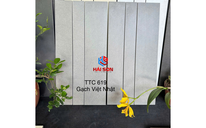 VNTTC607_300 x 600 Bộ Gạch Việt Nhật TCC