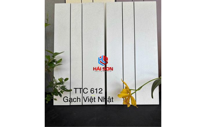 VNTTC_300 x 600 Bộ Gạch Việt Nhật TTC