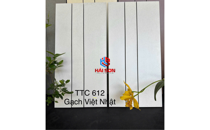 VNTTC607_300 x 600 Bộ Gạch Việt Nhật TCC