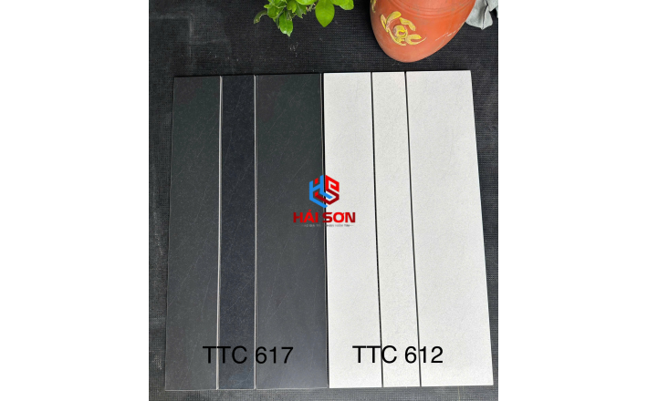 VNTTC607_300 x 600 Bộ Gạch Việt Nhật TCC