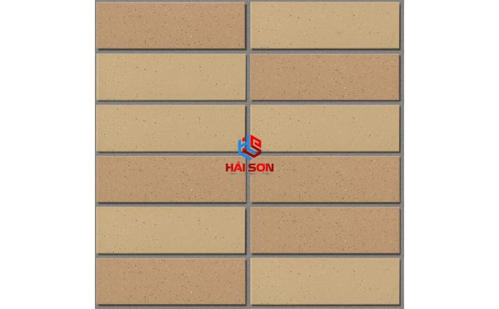 INAX-355/EAC_300 x 300 Gạch ốp tường kiến trúc Nhật 355/EAC-EARTH COLOR BORDER