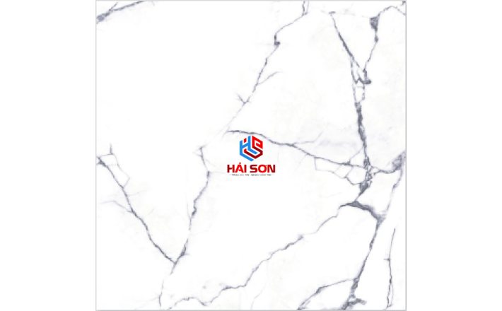 Gạch Lát Sàn Nước 30x30 GECKO 006