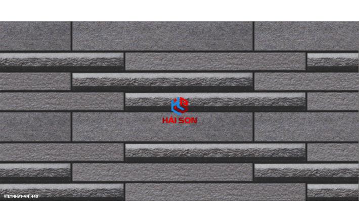 VN443_Gạch Trang Trí Men Mờ 25 x 50
