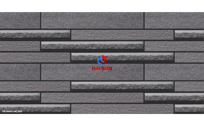 VN445_Gạch Trang Trí Men Mờ 25 x 50