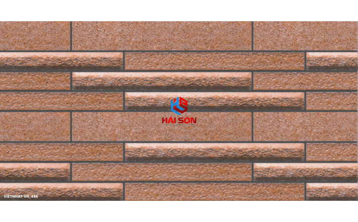 VN443_Gạch Trang Trí Men Mờ 25 x 50