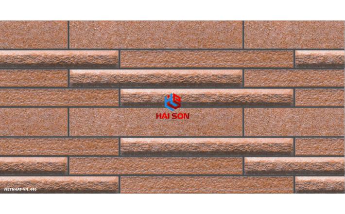 VN445_Gạch Trang Trí Men Mờ 25 x 50