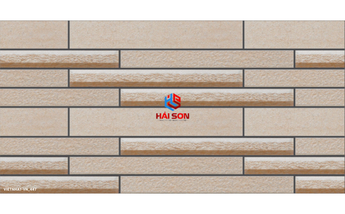 VN443_Gạch Trang Trí Men Mờ 25 x 50