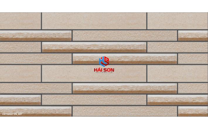 VN445_Gạch Trang Trí Men Mờ 25 x 50