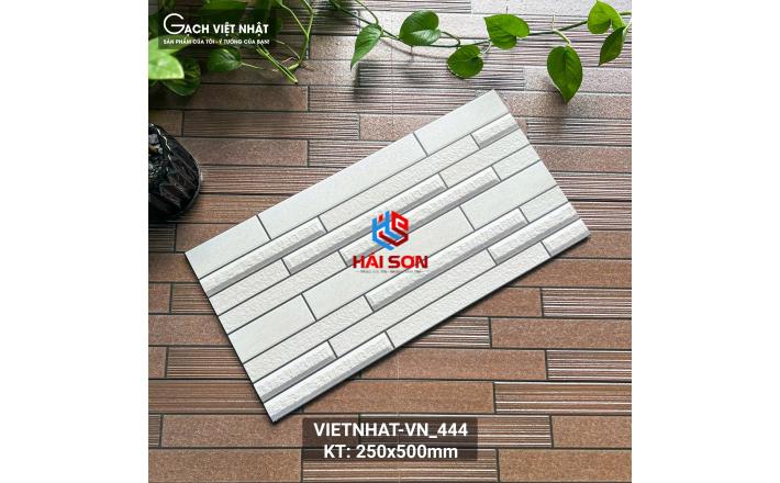 VN443_Gạch Trang Trí Men Mờ 25 x 50