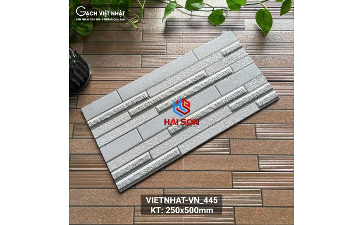 VN445_Gạch Trang Trí Men Mờ 25 x 50