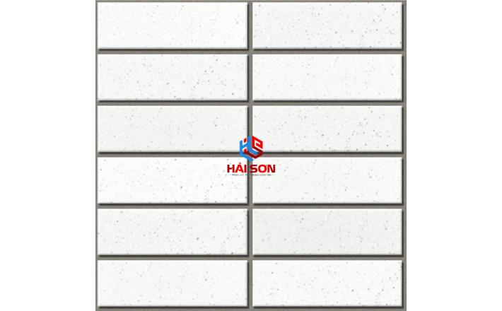 INAX-355/EAC_300 x 300 Gạch ốp tường kiến trúc Nhật 355/EAC-EARTH COLOR BORDER