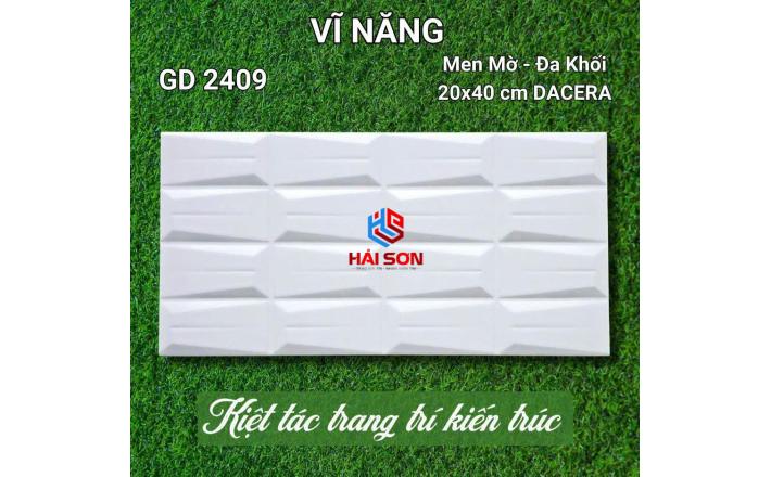 VNGD2409_Gạch Trang Trí Men Mờ - Đa Khối 20*40cm
