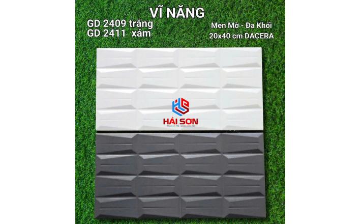 VNGD2409_Gạch Trang Trí Men Mờ - Đa Khối 20*40cm