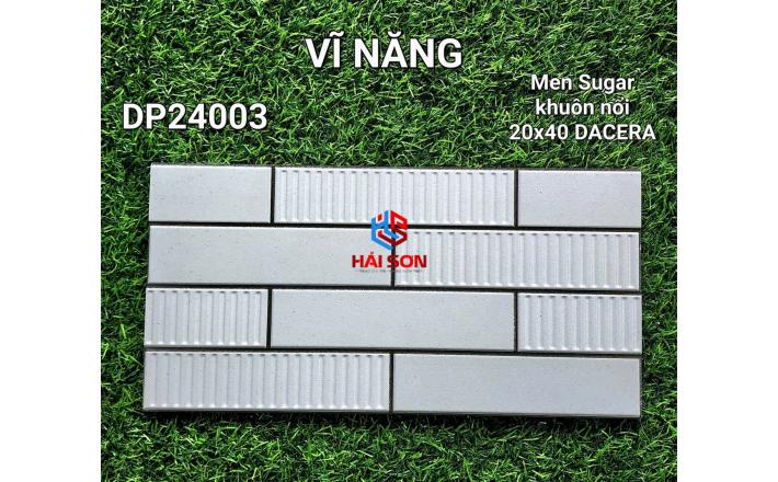 VNDP24003_Gạch Trang Trí Men Sugar - Khuôn Nổi 20*40cm