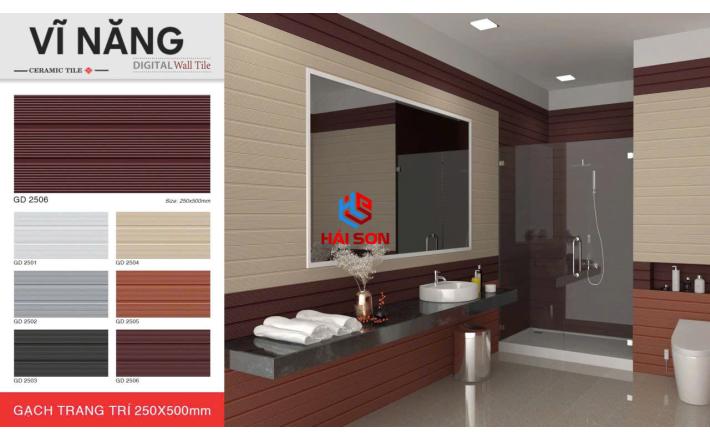 VNGD2506_Gạch Trang Trí Men Mờ Khuôn 25*50cm