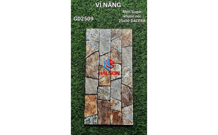 VNGD2509_Gạch Trang Trí Men Sugar - Khuôn Nổi 25*50cm