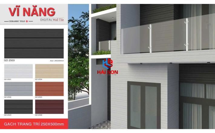 VNGD2503_Gạch Trang Trí Men Mờ Khuôn 25*50cm