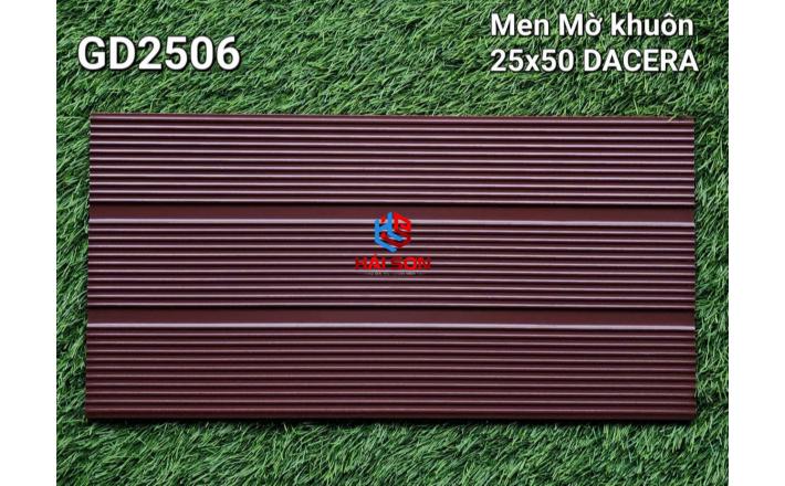 VNGD2506_Gạch Trang Trí Men Mờ Khuôn 25*50cm