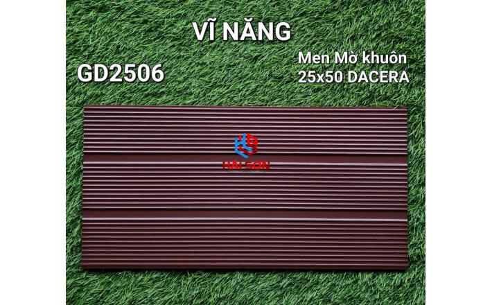 VNGD2506_Gạch Trang Trí Men Mờ Khuôn 25*50cm