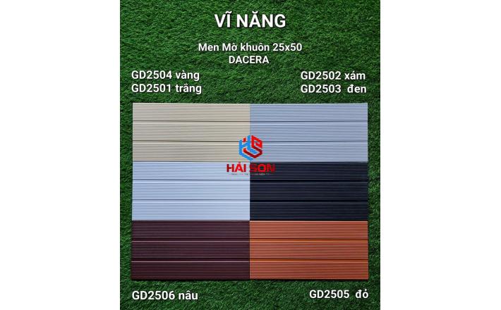 VNGD2503_Gạch Trang Trí Men Mờ Khuôn 25*50cm