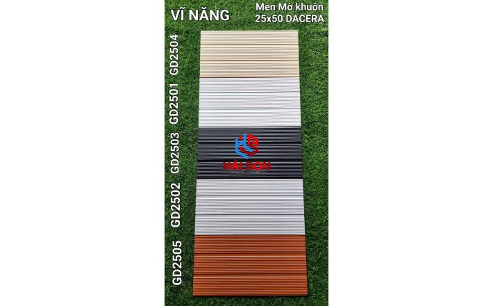VNGD2501_Gạch Trang Trí Men Mờ Khuôn 25*50cm