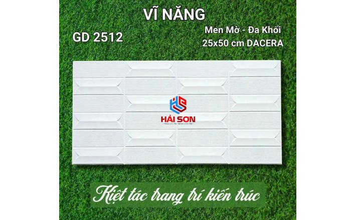 VNGD2512_Gạch Trang Trí Men Mờ Đa Khối 25*50cm