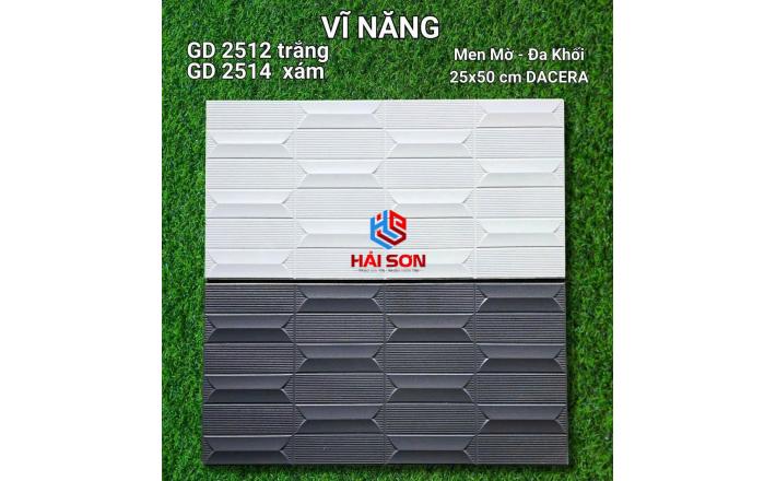VNGD2514_Gạch Trang Trí Men Mờ Đa Khối 25*50cm