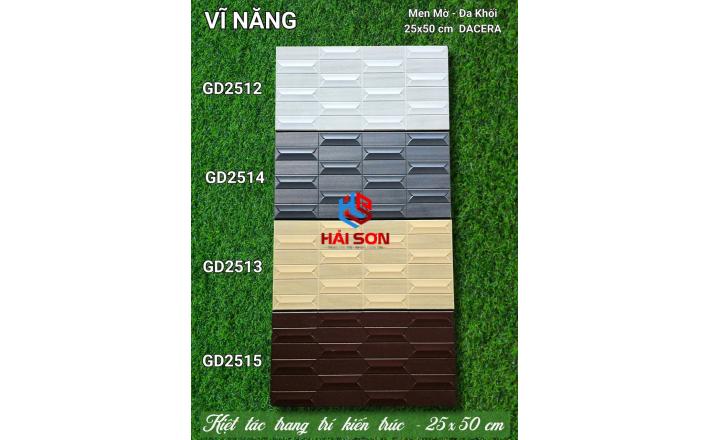 VNGD2513_Gạch Trang Trí Men Mờ Đa Khối 25*50cm