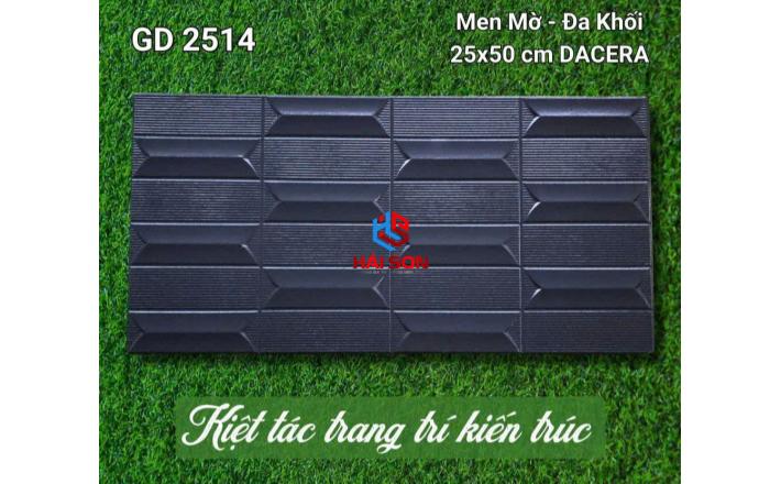 VNGD2514_Gạch Trang Trí Men Mờ Đa Khối 25*50cm