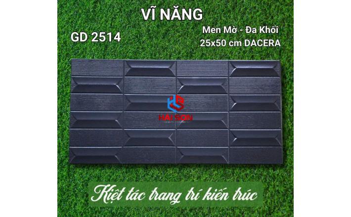 VNGD2514_Gạch Trang Trí Men Mờ Đa Khối 25*50cm