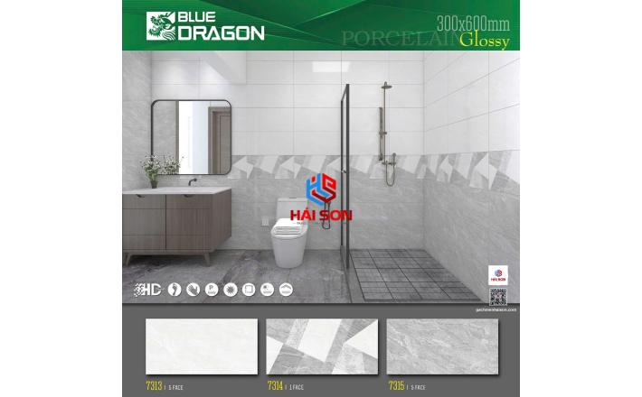 SA7313_300*600 Gạch Ốp Tường Ceramic