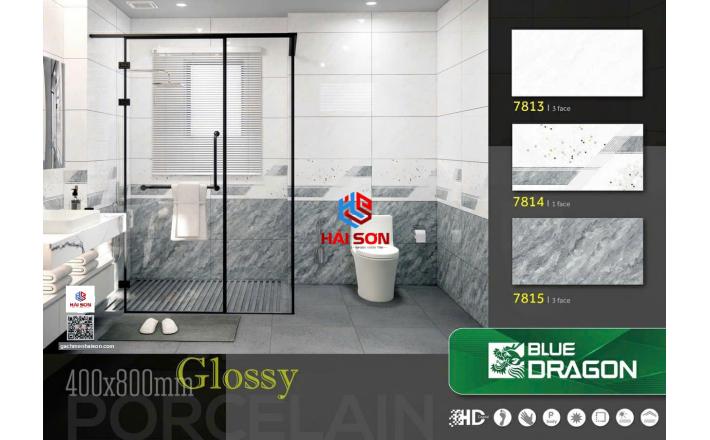 TA7813_300*600 Gạch Ốp Tường Ceramic